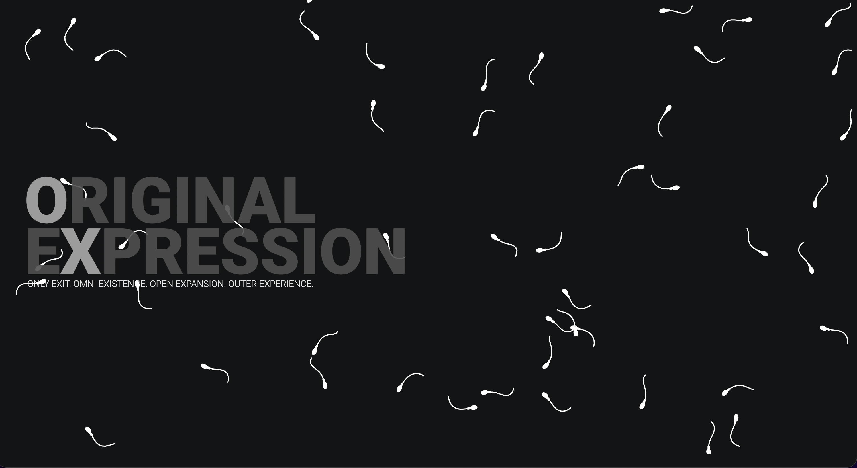 Oxus Personal Website